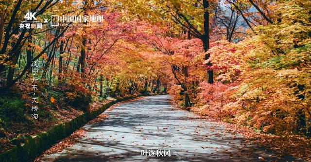 回国加速器资讯  三步教你抓住北京秋色尾巴!降温来得太快就像龙卷风